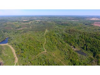 Property photo 4 - LAND AUCTION - 2,596+/- ACRES IN 28 TRACTS IN COSHOCTON & MUSKINGUM COUNTIES, OHIO